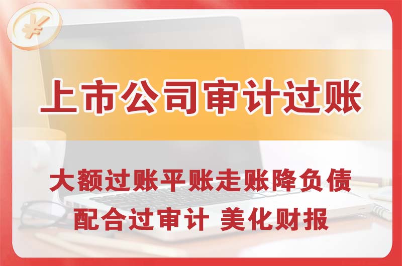 乳山上市公司审计过账